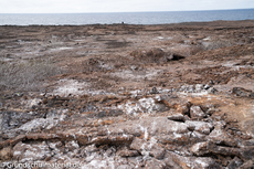 Galapagos-Natur2.jpg